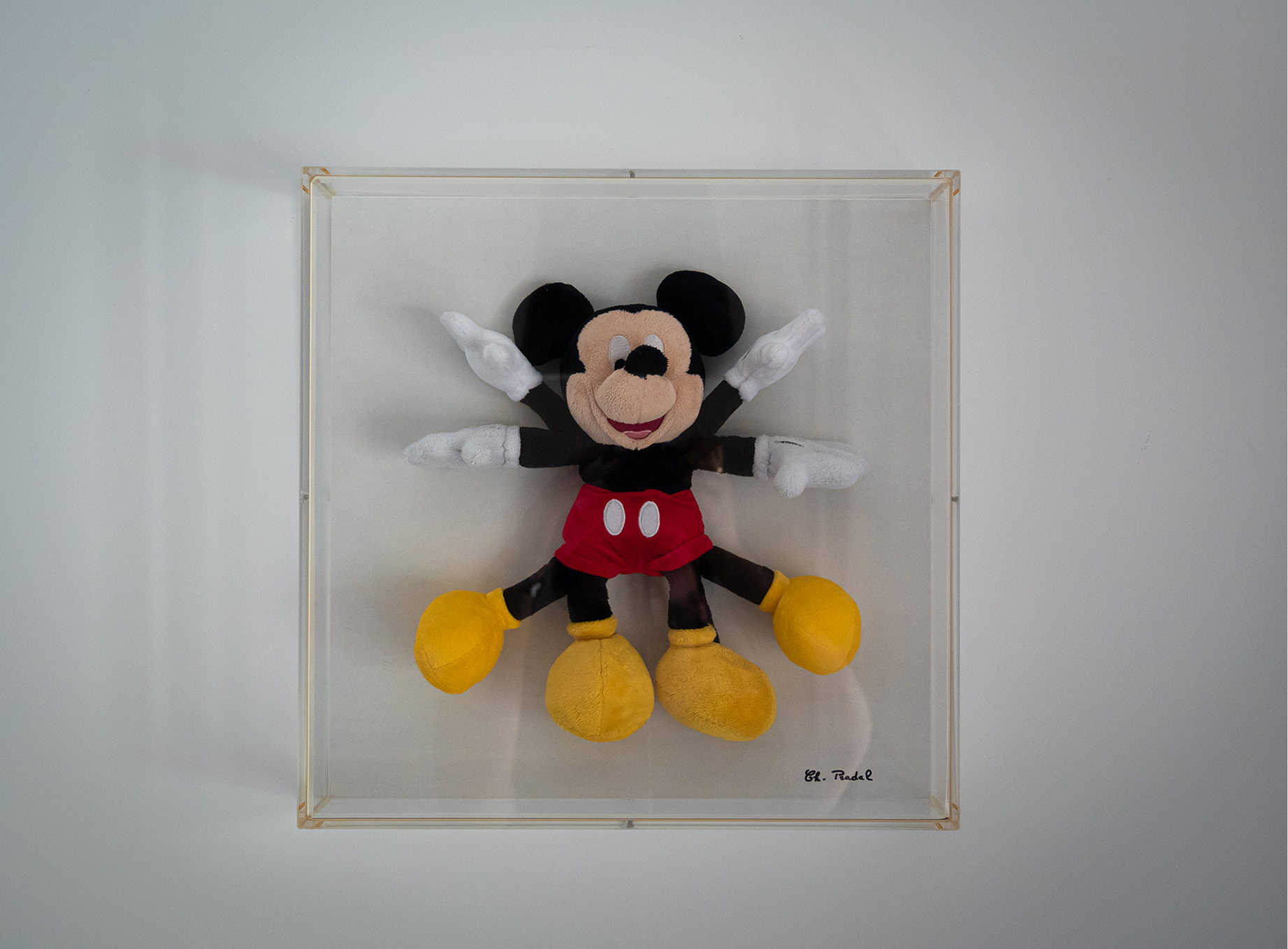 Mickey de Vitruve